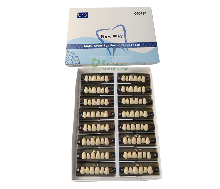 Three Layer Acrylic Resin Teeth